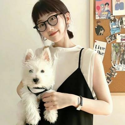 贞操带封面